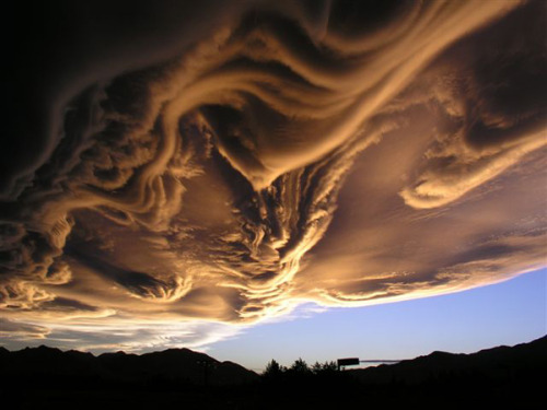 Sex awkwardsituationist:  asperatus clouds via pictures