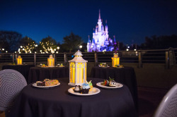 Disney Parks Blog: “Reservations open March 20 for the Wishes Fireworks dessert party at Magic Kingdom Park”:)