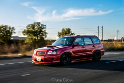 Thejeffwing:  Cette-Annee:  Michael’s Forester Sti - Shot By Courtney Cutchen 