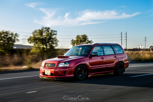 thejeffwing:  cette-annee:  Michael’s Forester STi - shot by Courtney Cutchen  Also check out my Facebook photo page: Courtney Cutchen Photography  Pure sex 