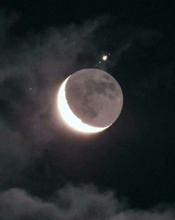 yourestella: Jupiter with its moons and the