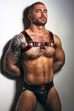 hairy-place: kicksleathermen: Rugged lad – shave, abuse, pass around … The hottest guys. follow my other blogs  So much hunks (All fetishes)  Piercing-Place  Soldiers-Place  Rubber-Place Leather-Place Lycra-Place Jockstrap-Place Hairy-Place Under