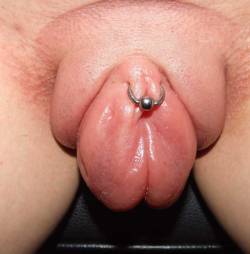 pussymodsgaloreVacuum pumped pussy with extended inner labia beautifully swollen. She has a HCH piercing with a ring.