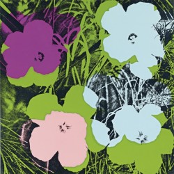 nobrashfestivity:  Andy Warhol, Flowers 1967 