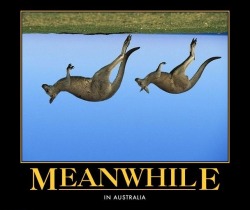 Things are looking up down under