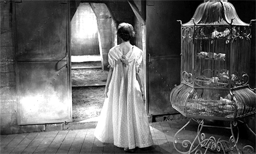 polaroidbowie:Eyes Without a Face (1960) dir. Georges Franju