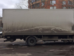 itscolossal:  Animals Etched onto Dirty Cars by Illustrator Nikita Golubev  Dude that&rsquo;s awesome