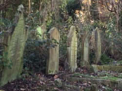 sightofthetombs:Nunhead cemetery  South London