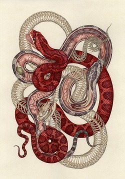 reckon:  Katy Wiedemann  www.juxtapoz.com/news/illustration/katy-wiedemann-s-hybrid-anatomies/ 