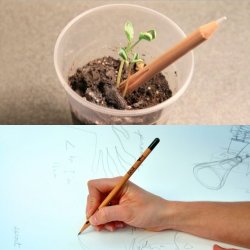 the-august:  Water-Activated Sprout Pencil “What if instead of throwing your pencil stubs away you could plant them and have them grow into something delicious, beautiful, and fun? What if pencils could grow? Sprout is a high quality cedar pencil with