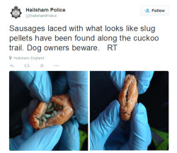 beers-and-tears:  hana-hisaishi:  tigerskinsandotherthings:WARNING to anyone in East Sussex, UK. Police have found sausages laced with slug pellets. A number of dogs have already suffered from suspected deliberate poisoning in the Brighton area and so