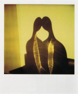 Andre Kertesz,  Glass Bust Polaroid