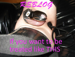sissydonna:  sissydonna:  sissyclarrise:  paigecdteez:  My resistance is melting away. My wife says I WILL be in chastity, like it or not, for at least 46 days. She is adding 1 day for every new follower i get through March 1, 2014. Follow me if you wan