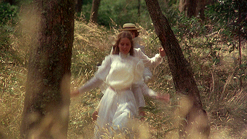 davidlynch:Waiting a million years… just for us.Picnic at Hanging Rock (1975) dir. Peter Weir
