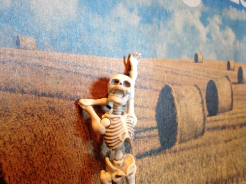 tyrantisterror:  yukonthunderclutch:  mervall:  pandorasvoidstar:  damgiftshop:  mervall:  The adventures of young Boneparte  Look at my friends baby skeleton. I hope he drinks lots of milk so when he’s drafted into the skeleton war he’s prepared