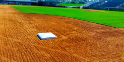 stace-lynn:  mlb:Perfection. the need for me to go walk on this with cleats on is ridiculous
