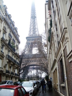 o-mdat:  à Paris 14/02/2013 