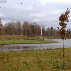 Young #tree & #Chesma #obelisk in #Gatchina
