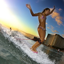 surfing-girls:  Surf GirlSurfing Girls Twitter