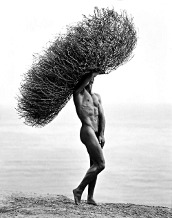 gonakedco: onlyoldphotography: Herb Ritts: Male Nude with Tumbleweed, Paradise Cove, 1986 gonaked.comen’s social nudity | est. 2015 | New York | travel | excursions | events | blog |IG:gonaked.co FB:gonakd.co Meetup:gonaked Twitter:@gonaked_co 