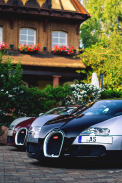 italian-luxury:  Bugatti duo