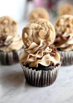 do-not-touch-my-food:  Chocolate Peanut Butter Cupcakes 