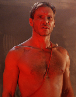 swimrz:  iwasonlyoperating: verdeinvolumes:  Young Harrison Ford, Sweet Baby Jesus..  😍  Meh, he looks so gay, almost like the fairy god mother. But look at those dick sucking lips.
