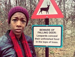 sapphicnymph:  onlyblackgirl:  blackhipsteraesthetic:  allisonmoon:  That face is priceless.  this is why black people don’t fuck around in the wilderness. deer be falling out of trees and shit.  What kinda shit……  I love that there’s a warning
