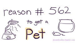 tom-sits-like-a-whore:  rachels-adventures-in-wonderland:   matty-hola:  thefrogman:  Reasons to get a Pet by Jessie Doodles [tumblr]  This is accurate  Reblogging again.   this is why living without my dogs was so hard sometimes