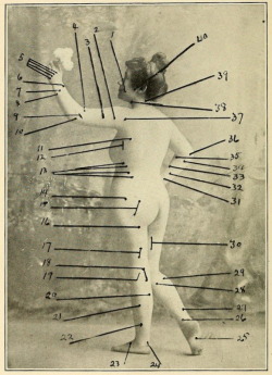 nemfrog:  The Ellectro-Therapeutic Guide, or, A Thousand Questions Asked and Answered. 1907. 