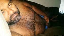 unitedbears:  alexunderbear:  what a bear needs in a cold night  MORE THAN 12.000 FOLLOWERS!  UNITED BEARS: EVERY DAY THE BEST BEAR PORN FOR YOU   FOLLOW NOW! PENIS | BEARS | AND MORE PENIS 