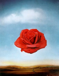 Salvador Dali, Meditative Rose, 1958