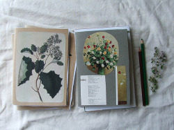 Notebooks by Tiny Happy on Flickr. 