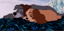 hip-hip-poohray:  katsallday:  thehappyfangirl:  This was actually a pretty big Disney deal - Lady was one of the first female Disney characters to have conceivably had sex when she had her wild night out with Tramp.  When she returned home, Jock and