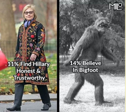 Bigfoot 2016