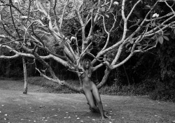 dazzledent:  Earth Day 2014: Philippa, Barbados Tree - 2007 by John Swannell. 