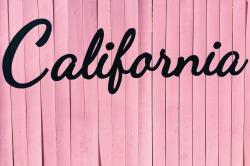 keepitrealmom:  lookingforhotwives: canavis:   canavis:   bwb78:   ocfit24:   galaxyboy8855:   becoming-hers-becoming-alice:   prettygirlchasingclouds:   urbadhabbit:  Reblog if you are from or live in cali  BAY AREA BIHHH! ☀️   Ocider   San Diego