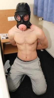 k9-gay-copenhagen:  Pussy face, is the only kind of face a alpha man needs! 🐷