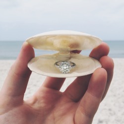 labias:  taythelittlemermaid:  • January 12, 2015 •  Proposal Story: Today was our last day in Naples, FL so we made it a definite plan to go to the beach. Whenever Tim and I go to the beach we always pick out shells and have a little competition