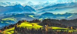 In the land of Edelweiss (Emmental, Switzerland)