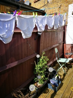 silvertopdaddyspanker:Washing day in Twickenham…love my Y-Fronts dried in the sunshine..