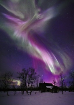Angels among us (Aurora Borealis over Sweden by Babak Tafeshi)