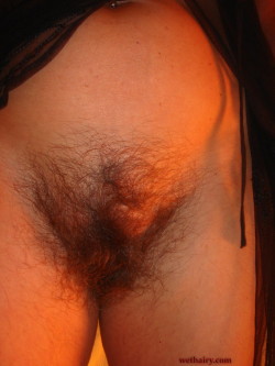 Mature Hairy Pussy