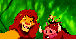 cinema-gifs:  Oh yes, the past can hurt. But from the way I see it, you can either run from it, or… learn from it.The Lion King (1994)