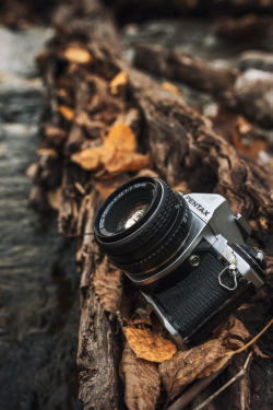 therednative:  stayfr-sh:  Pentax In The Wild  This  ♡♡♡ I still♡ my Pentax K1000. ♡♡♡