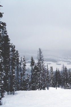 ivvvoo:  Untitled by Anna Ristuccia