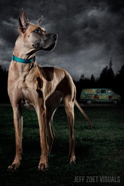 dwood70:  teithio-cariad:  everythingmakesmewild:  kkallicat:  codiak723:  firecrackerheart:  Scooby Scooby Do-We’ve Got Some Work To Do Now..  Now THIS should have been the Scooby Doo movie!  Holy YES  Omg  SPN episode of this? Please?   I gotta say,