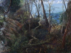 William Robinson (b. 1936); Sunlight after rain, Tallanbanna (2001); pastel on paper