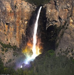 sixpenceee:When the conditions are just right a rainbow seems to appear at Yosemite Bridalveil Falls.
