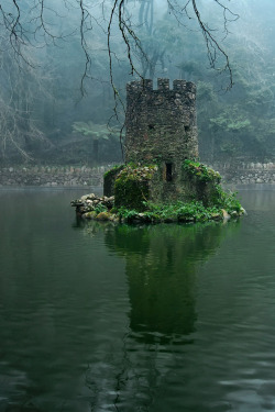 livesunique: Swamp Castle, Pena National